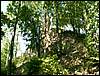 080906_PICT0031.JPG