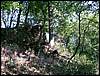 080906_PICT0033.JPG