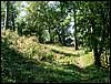 080906_PICT0038.JPG