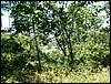 080906_PICT0040.JPG