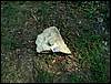 080906_PICT0041.JPG