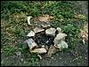 080906_PICT0043.JPG