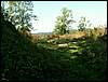 080906_PICT0048.JPG