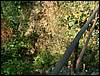 080906_PICT0051.JPG