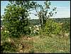 080906_PICT0053.JPG