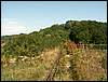 080906_PICT0055.JPG