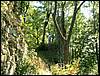 080906_PICT0058.JPG