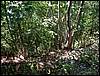 080906_PICT0059.JPG