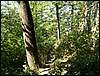 080906_PICT0060.JPG