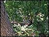 080906_PICT0061.JPG