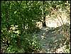 080906_PICT0062.JPG
