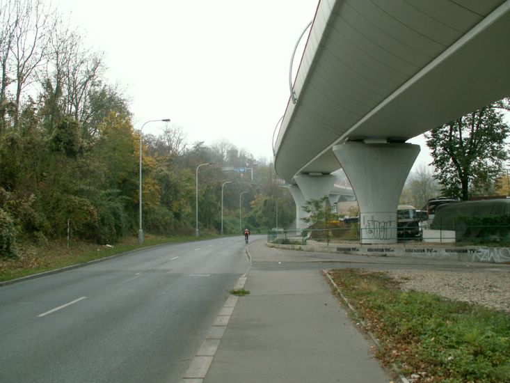081026_PICT0001.JPG