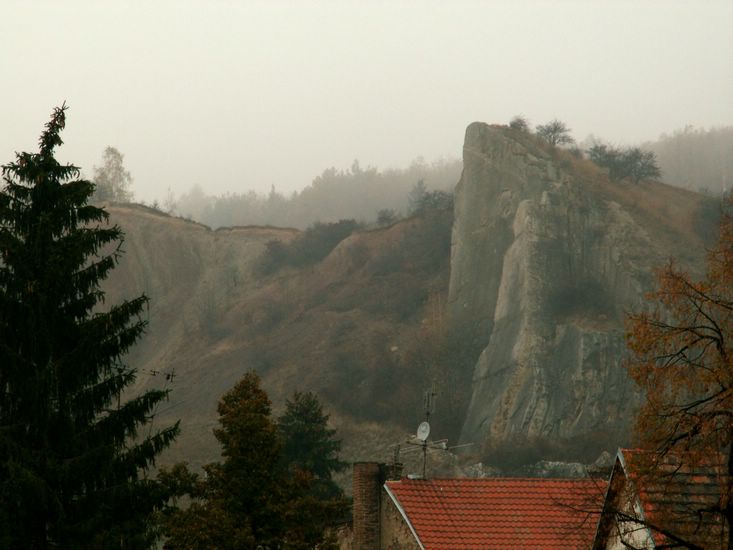 081026_PICT0007.JPG