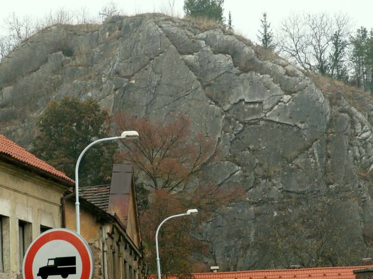 081026_PICT0008.JPG