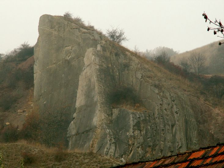 081026_PICT0009.JPG