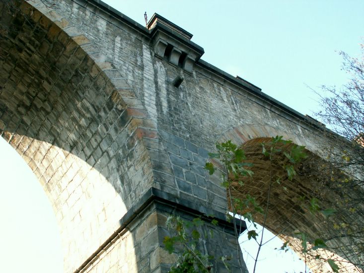 081026_PICT0022.JPG