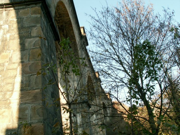 081026_PICT0023.JPG