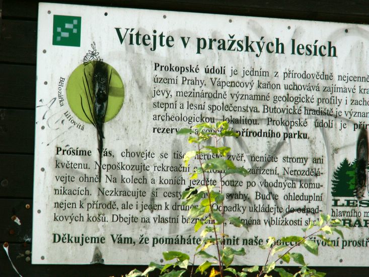 081026_PICT0025.JPG