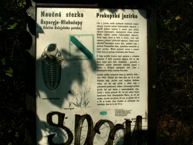 081026_PICT0026.JPG