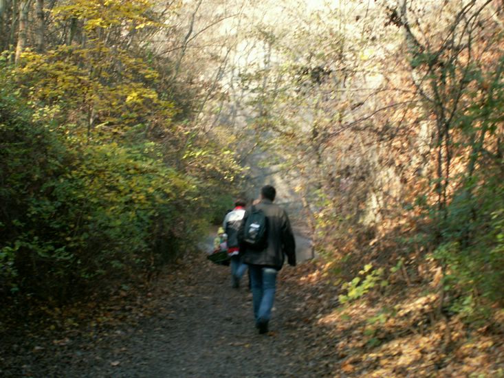 081026_PICT0028.JPG