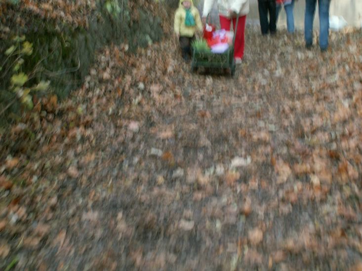 081026_PICT0029.JPG