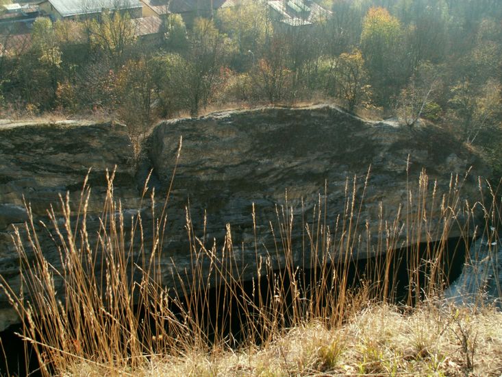 081026_PICT0037.JPG