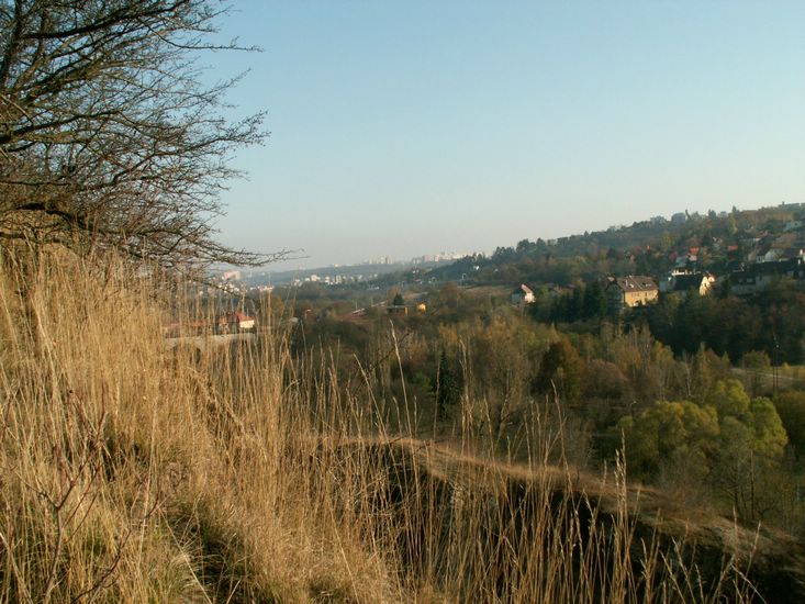 081026_PICT0038.JPG