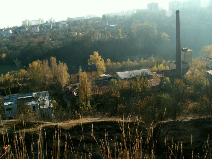 081026_PICT0040.JPG