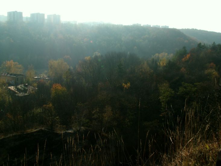 081026_PICT0043.JPG