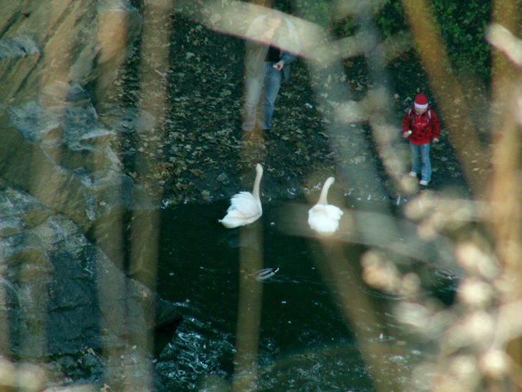 081026_PICT0045.JPG