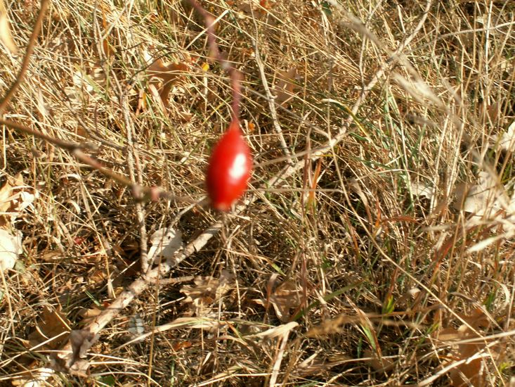 081026_PICT0046.JPG