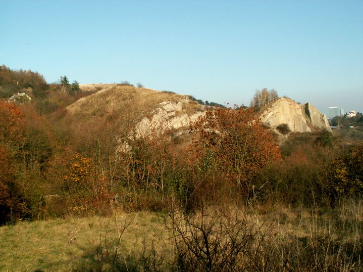 081026_PICT0048.JPG