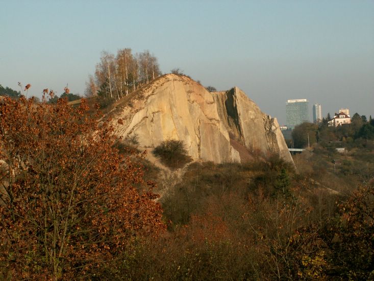 081026_PICT0049.JPG
