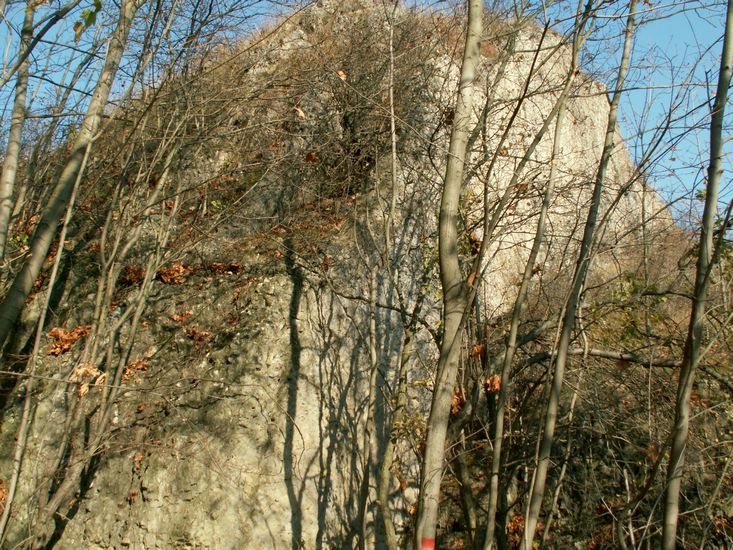 081026_PICT0050.JPG