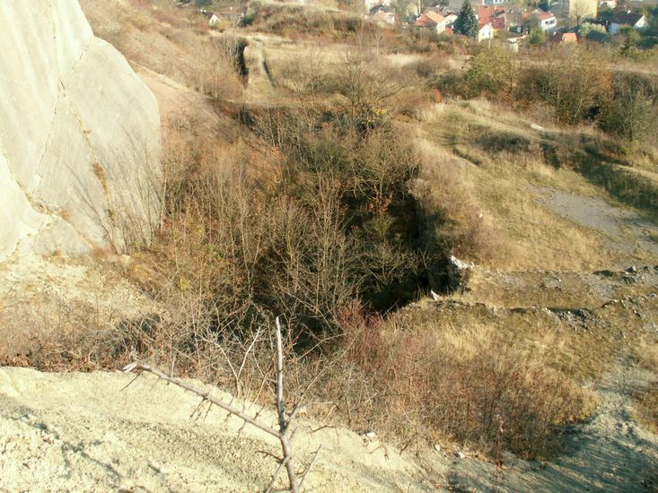 081026_PICT0053.JPG