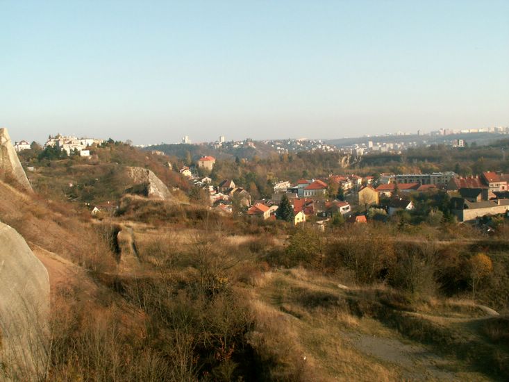 081026_PICT0055.JPG