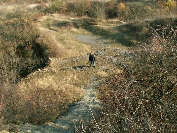081026_PICT0057.JPG