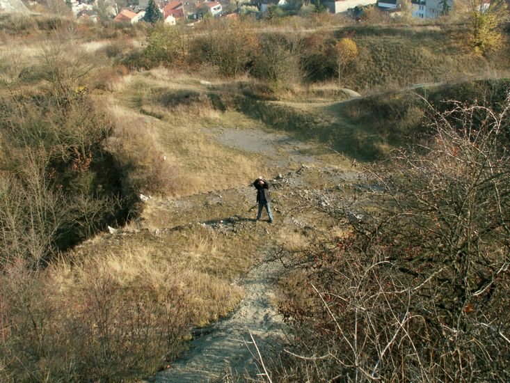 081026_PICT0058.JPG