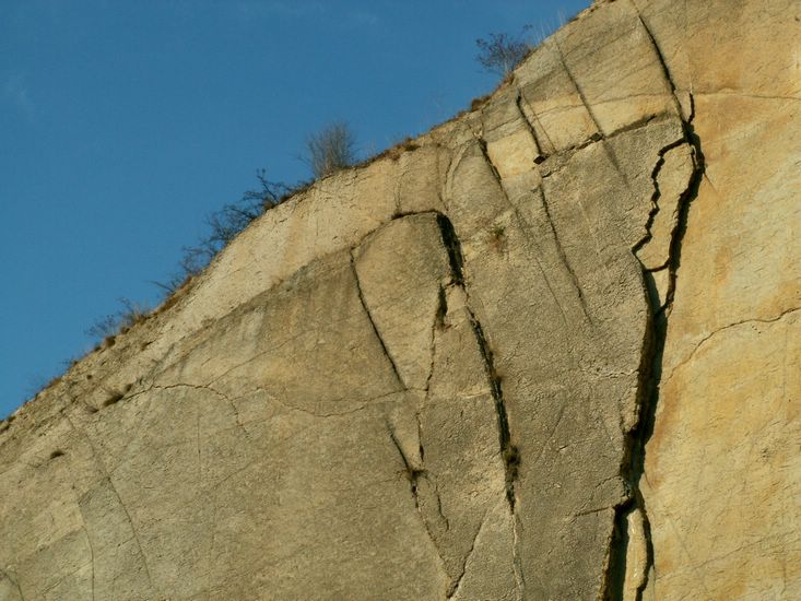 081026_PICT0060.JPG
