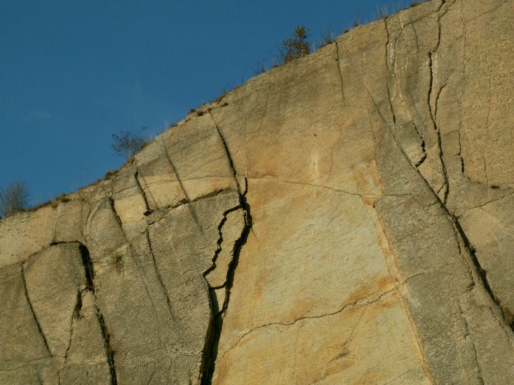 081026_PICT0061.JPG