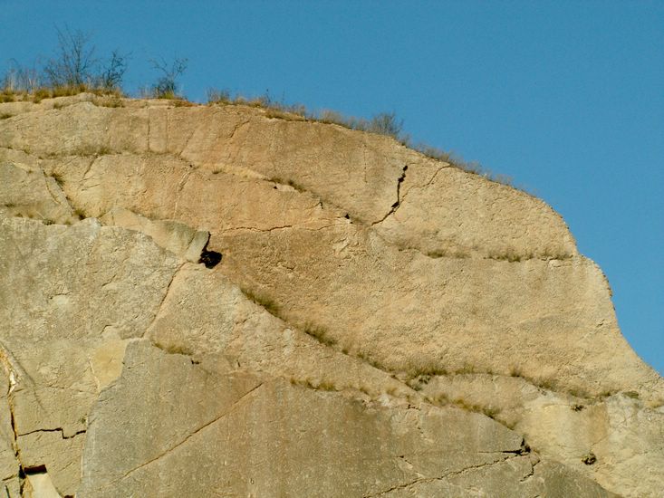 081026_PICT0063.JPG