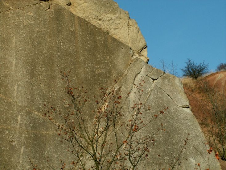 081026_PICT0065.JPG