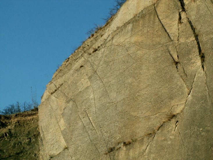 081026_PICT0069.JPG