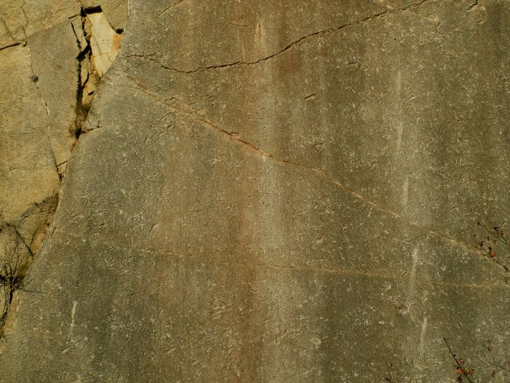 081026_PICT0073.JPG