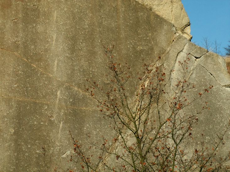 081026_PICT0074.JPG