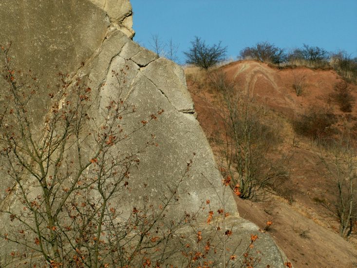 081026_PICT0075.JPG