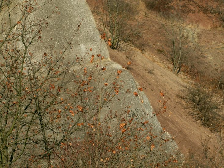 081026_PICT0076.JPG