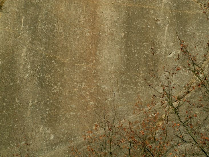 081026_PICT0078.JPG