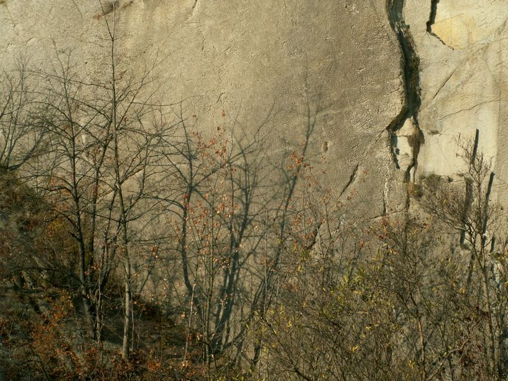 081026_PICT0082.JPG