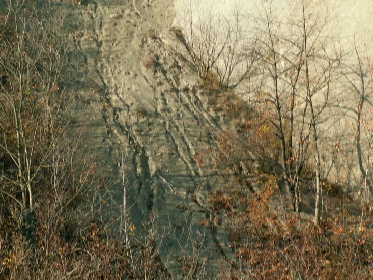 081026_PICT0083.JPG
